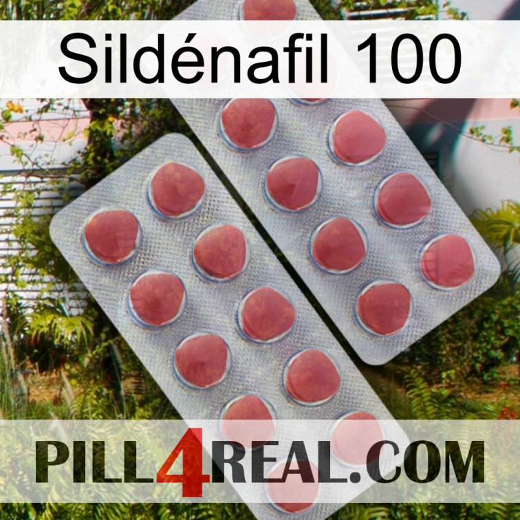 Sildénafil 100 19